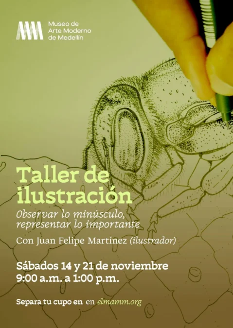 Taller de ilustración de insectos polinizadores con tinta - Image 01