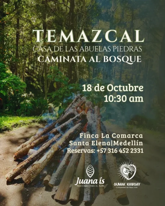 TEMAZCAL & Caminata al bosque - Image 01
